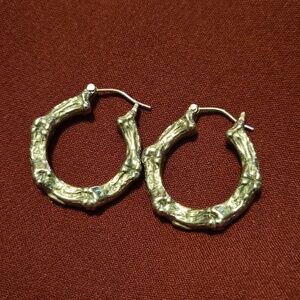 Alternative Hoop Earrings
